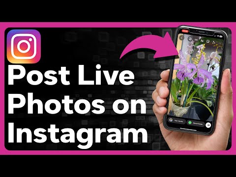 How To Post A Live Photo On Instagram