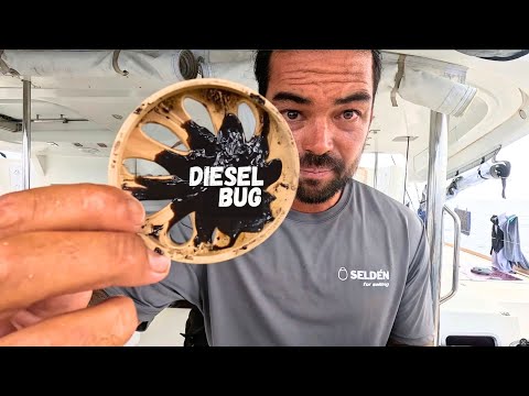 SAILOR’S WORST NIGHTMARE - we have to CUT OPEN OUR TANK 🤬 - (Episode 341)