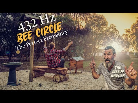 Creating a 432 Hertz Bee Circle - The Perfect Frequency