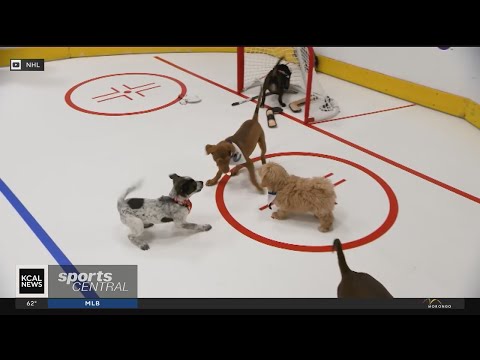 NHL set for "The Stanley Pup"