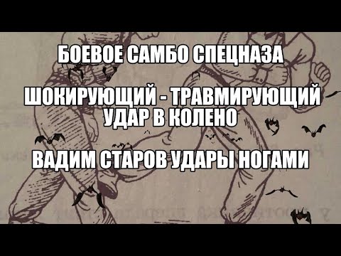 Боевое Самбо Спецназа Шокирующий-Травмирующий удар ногой в колено, голень Вадим Старов