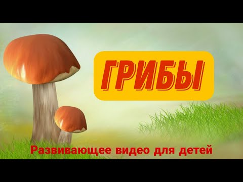 ГРИБЫ для детей. Лексическая тема "ГРИБЫ".🍄 ИЗУЧАЕМ ГРИБЫ. Развивающее видео