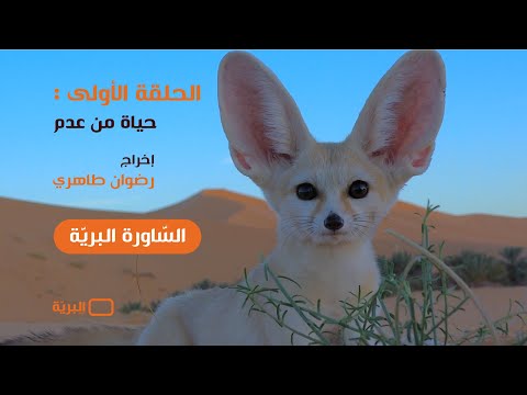الساورة البرية - الحلقة الأولى