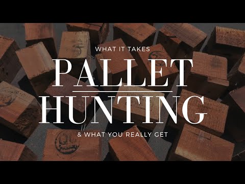 Pallet Hunting: The Truth Revealed