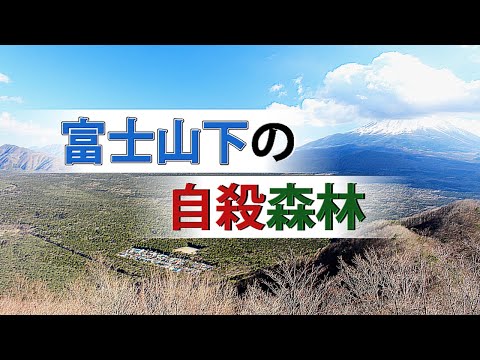富士山下的自殺森林，到底是怎麼回事？|世界奇聞社Curious World Tales