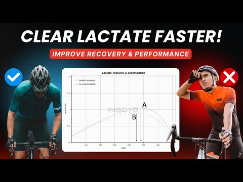 Lactate Clearance Explained: How to Recover Faster & Improve Performance