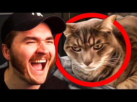 Schlatt Reacts to DISGUSTING Bedrooms