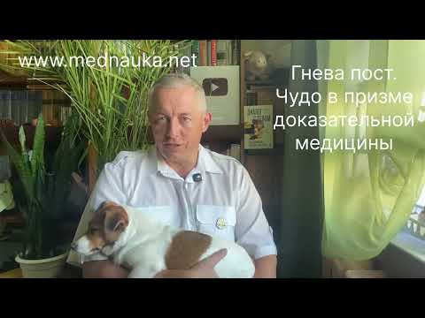 Гнева пост. Чудо в рамках доказательной медицины