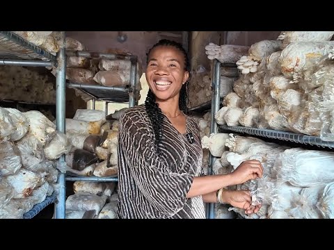 She Makes Millions from Mushroom Farming