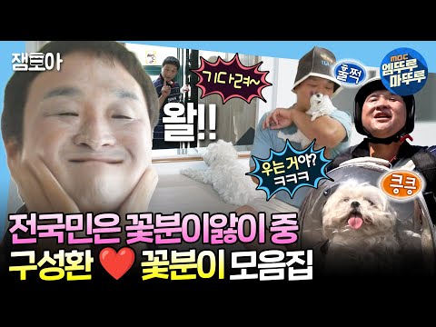 [#나혼자산다] 성환만 보면 반가움의 꼬리 프로펠러 200% 출력하는 꽃분이🥰😍  배우 구성환 X 꽃분이 모음집📂ㅣ#구성환 #꽃분이 MBC240514방송