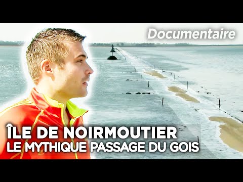Le passage du Gois : Une Route mythique qui Défie les Marées depuis le XVIIIe Siècle - Documentaire
