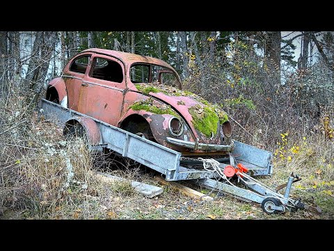 Rescue VW Split Crotch Cooler 1951