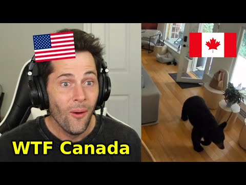 American Reacts to Canadian TikToks | #29