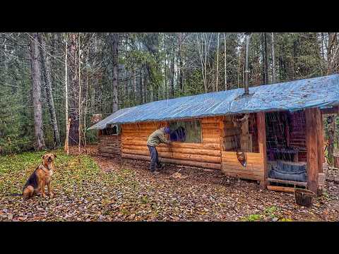 It's a cold and wet autumn, and I'm preparing the Log Cabin for the frosts