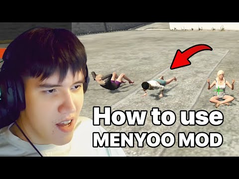 Basic Menyoo Trainer Features Overview for GTA 5