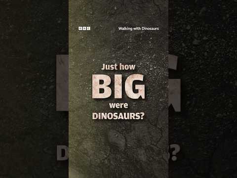 Just how big were dinosaurs? #Shorts #WalkingWithDinosaurs