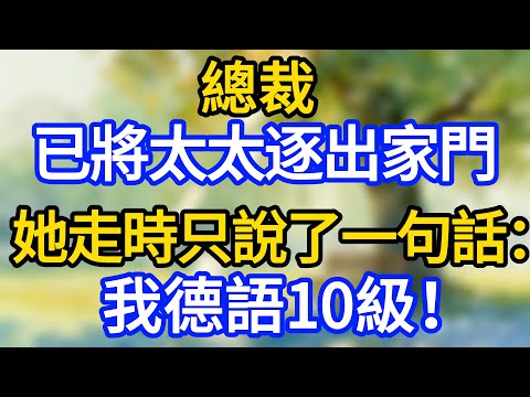 總裁，已將太太逐出家門，她走時只說了一句話：我德語10級！