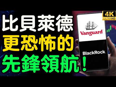 【震驚】神祕財團竟是貝萊德最大股東？全球經濟背後真正操盤手「先鋒領航」曝光！【財之道】@moneyrules8