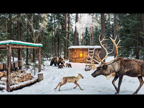 180 Days Alone Building a Survival Log Cabin in the Wilderness | START TO FINISH