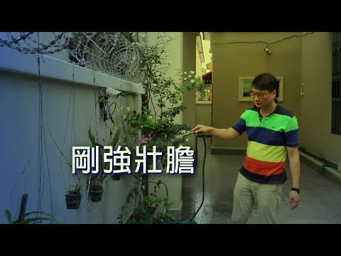 恩雨之聲香港版　《剛強壯膽》莊英傑 - 粵語