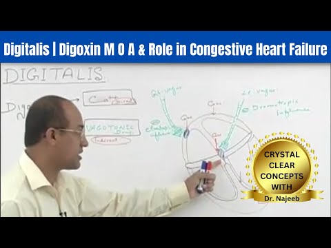 Digitalis | Digoxin M O A & Role in Congestive Heart Failure