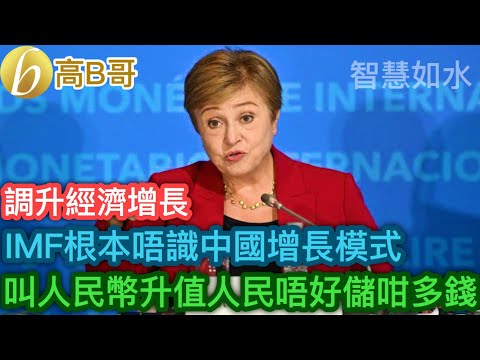 IMF根本唔識中國經濟增長模式 叫人民幣升值人民唔好儲咁多錢［智慧如水 – 高B哥 GBG］
