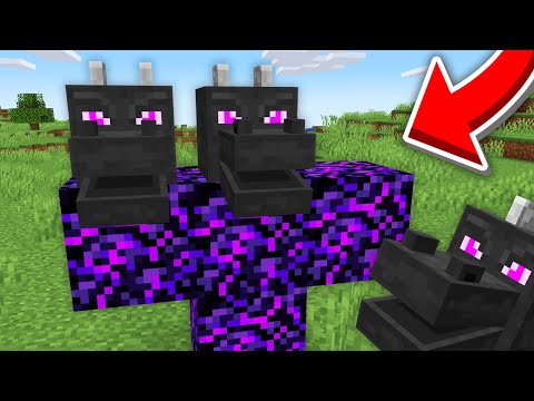 Minecraft, But I Added Custom Bosses...