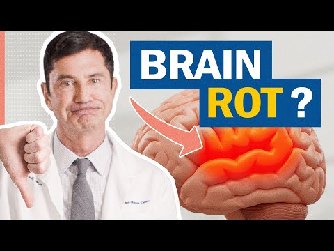 I’m a Neuroscientist: Stop Doing This Or You Will Lose Your Memory