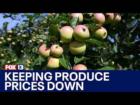 Federal funding for farmworker housing aims to keep grocery prices down | FOX 13 Seattle