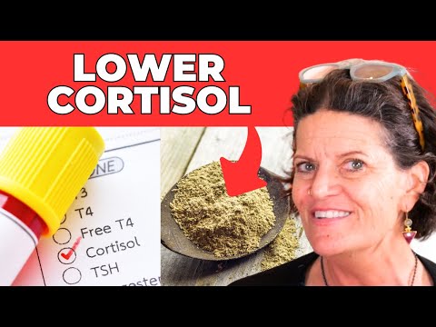 The 4 Fastest Ways To Reduce Cortisol Levels Naturally For Weight Loss | Dr. Mindy Pelz