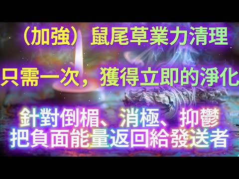 淨化 磁場 【慎入！只需聽一次，淨化磁場，禮貌地把負能量返還給發送者】加強版鼠尾草燃燒能量清理🍀淨化擺脫抑鬱、衰運氣、倒楣、消極、負面的業力☘️空間衰落淨化☘️長效鎮靜作用你的磁場🍀加強你的好運磁場