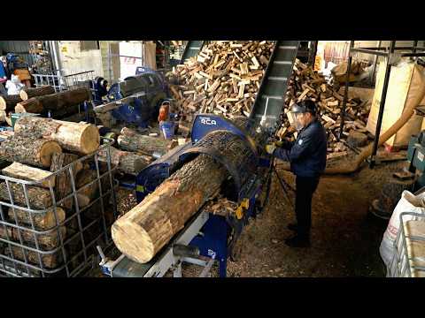 Satisfying Power & Speed! Turning Giant Logs into Firewood in Seconds