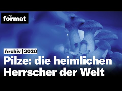 Pilze: die heimlichen Herrscher der Welt (2020)