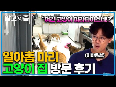 "한집에 고양이 19마리씩이나??? " 집 전체를 고양이 파라다이스로 만든 집사의 고양이 사랑! 미야옹철과 함께 방문했습니다. │고양이를 부탁해│알고e즘
