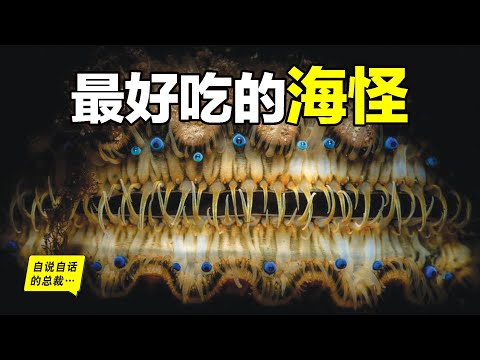 The Best Seafood:Clams&Oysters&Scallop&Mussel,North Pole Shell?Geoduck?A Story Begins...