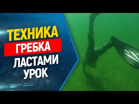 🏊Техника гребка ластами во фридайвинге и подводной охоте.