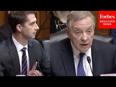 'I Have To Say...': Tom Cotton Confronts Dick Durbin Over Rachael Rollins