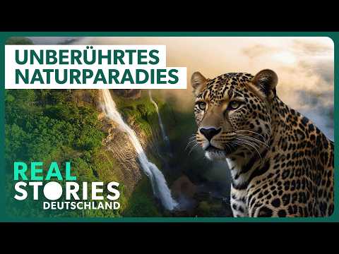 Sri Lanka: In den Tiefen des Singharaja Regenwalds | XXL-Doku