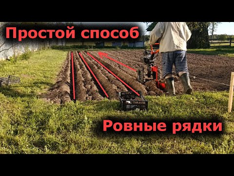 Огород - Сажаю картошку проверенным способом