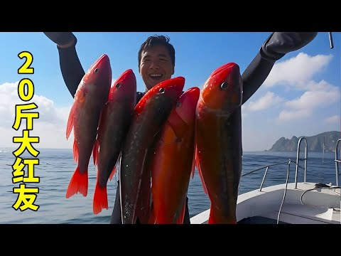 A complete turnaround in island diving plan! Ah Feng catches the ”ceiling of red fish” alone  scoop