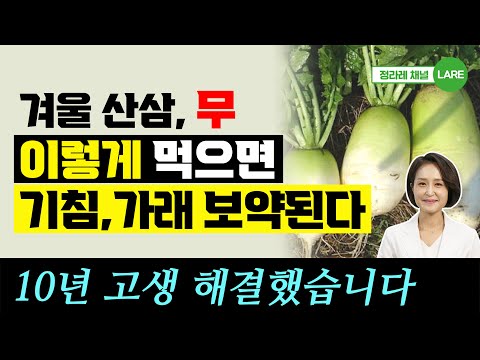 겨울 산삼, 무! 이렇게 먹으면 기침가래에 명약됩니다. 무우즙 효능 [정라레]