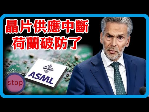 荷蘭破防了！晶片供應突然中斷，日損230萬歐元，中方殺雞儆猴，晶片格局要變天！#竇文濤 #圓桌派 #中美關係 #特朗普 #紀實 #經濟 #歷史 #聊天 #推薦 #熱門