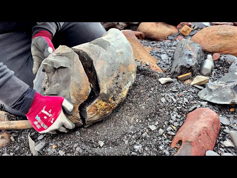 We CRACKED A Huge Rock For A GIANT Ammonite! 