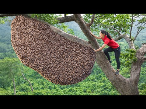 Harvest Giant Death Honey 2026 & Go to Market Sell | Reward achieved through near death experiences