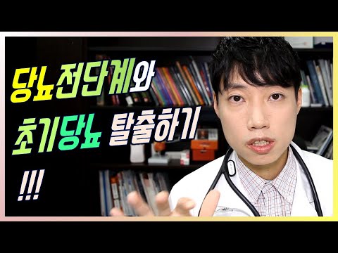 당뇨 예방법 l 당뇨전단계/초기당뇨 탈출하기 l 닥터딩요