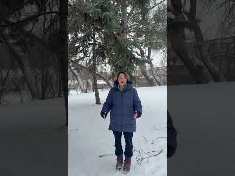 2025 was a tough year. But a new, beautiful Minnesota snowfall brings a moment of renewal and hope.