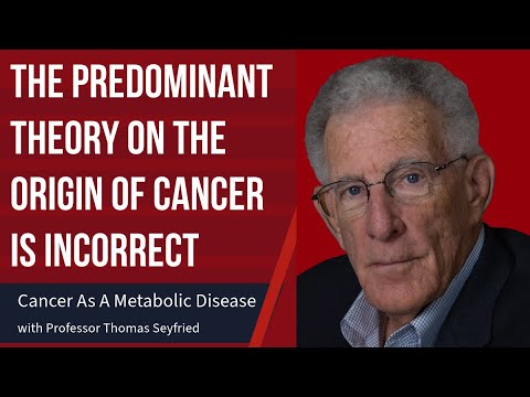 The Globally Accepted Theory on the Origin of Cancer is Incorrect
