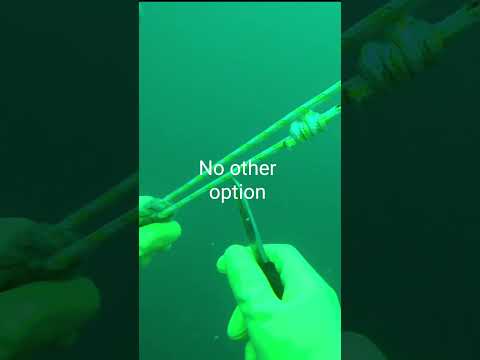 The first cut is the deepest!