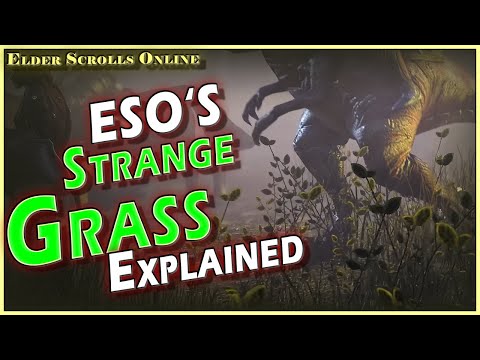 Why Elder Scrolls Online’s Grass Feels Wrong — A Rendering Breakdown