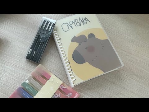 Обзор на мой личный дневник N6 с капибарой мои блокноты ЛД личные дневники что писать в блокнотах 